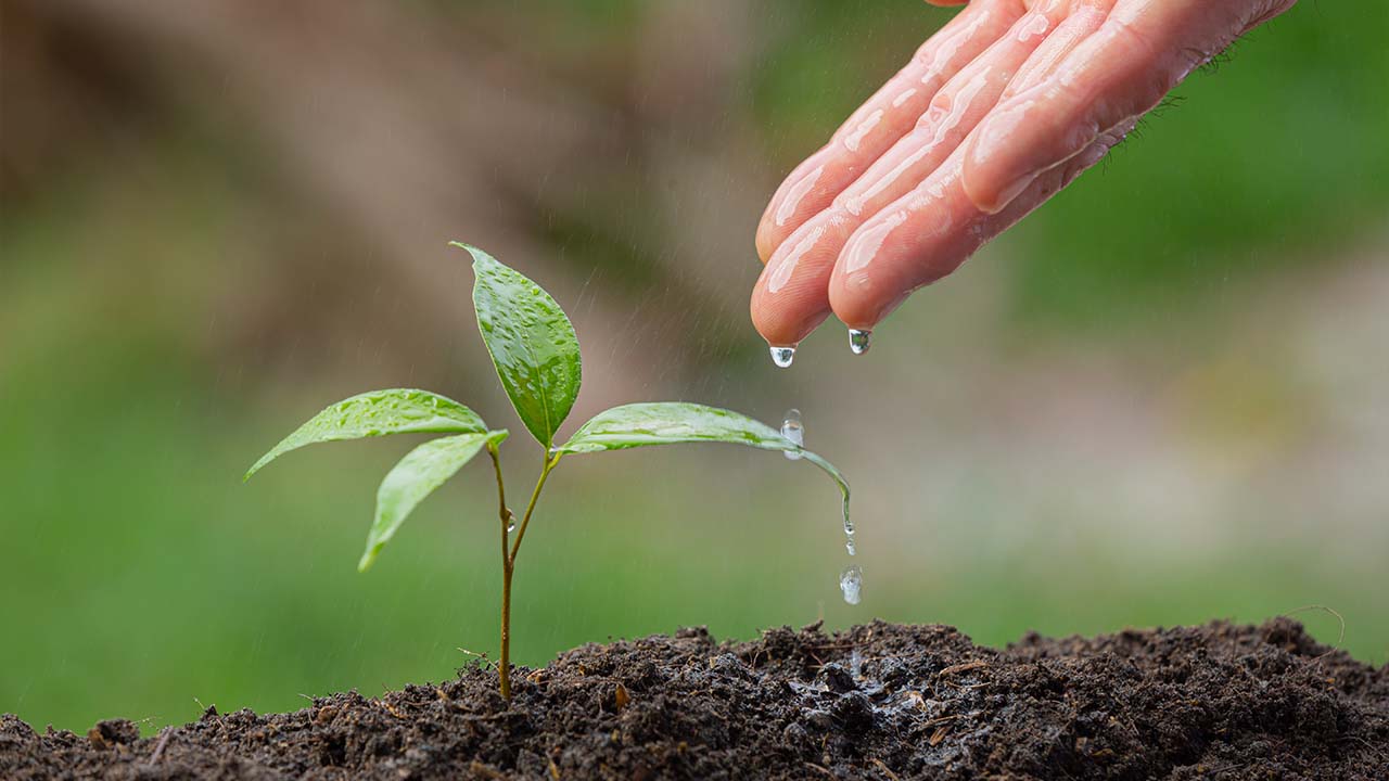 Rawello Tarım Makineleri İmalatı